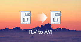 FLV to AVI Converter