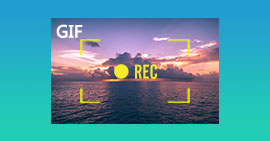 GIF Recorder