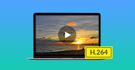 H.264 Video Player