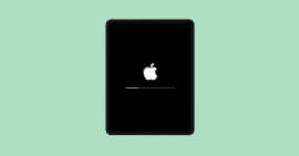 iPad hängt beim Apple Logo