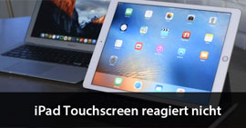 iPad Touchscreen reagiert nicht