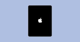 iPad zurücksetzen ohne Apple ID