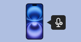 iPhone Diktierfunktion geht nicht