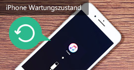 iPhone Wartungszustand