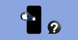 iPhone zeigt nur Apple Logo