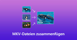 MKV-Dateien zusammenfügen