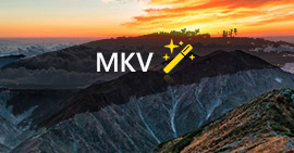 MKV Editor