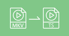 MKV in TS umwandeln