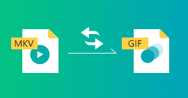 MKV to GIF Converter