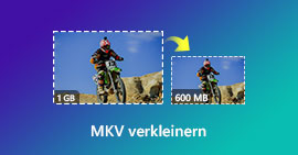MKV-Dateien verkleinern