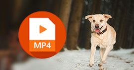 Alles über MP4