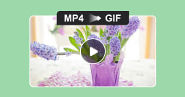 MP4 to GIF umwandeln