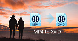 MP4 to Xvid