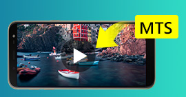 MTS Videos für Android umwandeln