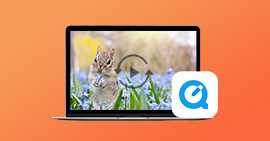 Quicktime Video Converter