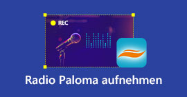 Radio Paloma aufnehmen