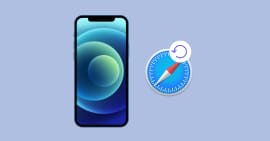 Safari-Verlauf auf iPhone/iPad wiederherstellen