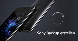 Sony Backup erstellen