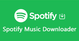 Spotify Musik Downloader