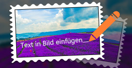 Text in Bild einfügen