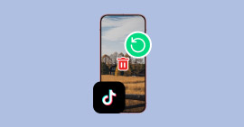 Gelöschte TikTok-Videos wiederherstellen