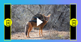 Schwarze Balken aus Videos entfernen