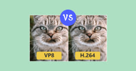 VP8 vs. H.264