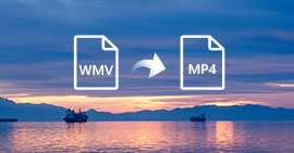 WMV to MP4 Converter