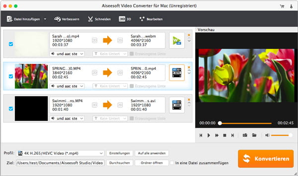 Video ins Programm laden