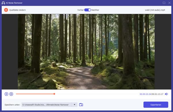 Rauschfreies Video exportieren