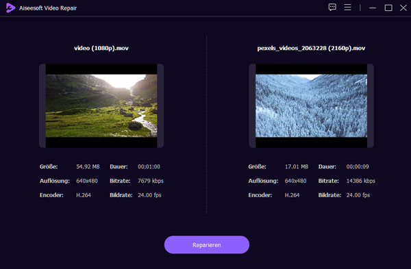 Video reparieren