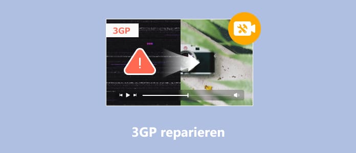 3GP reparieren