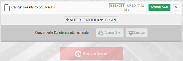 AVI in MPEG umwandeln online