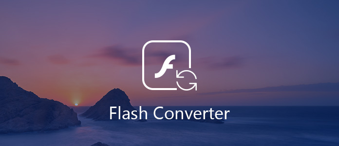 Flash Converter