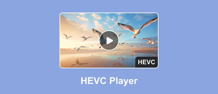 HEVC Player