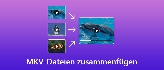 MKV-Dateien zusammenfügen