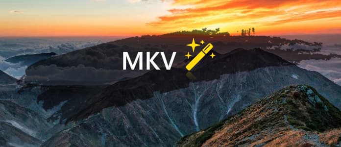 MKV Editor