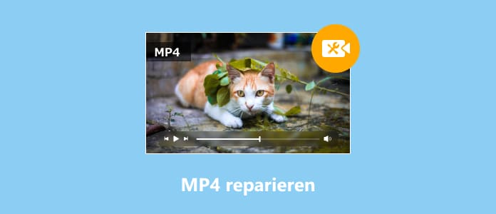 MP4 reparieren