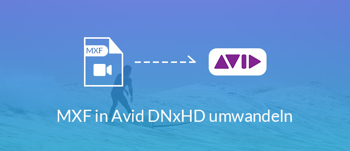 MXF in Avid DNxHD umwandeln