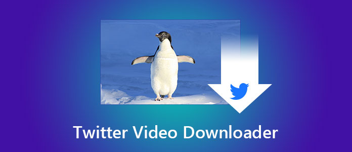 Twitter Video Downloader