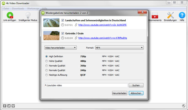 Video aus der YouTube Playlist in 4K Video Downloader einstellen