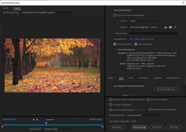 Video aus Premiere Pro exportieren