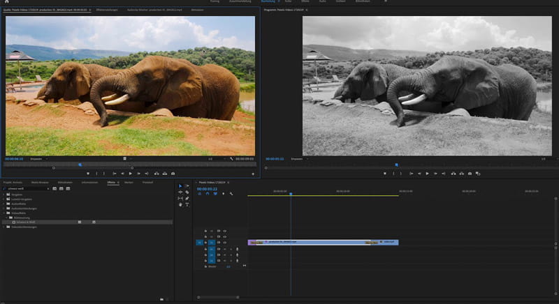 Adobe Premiere Pro