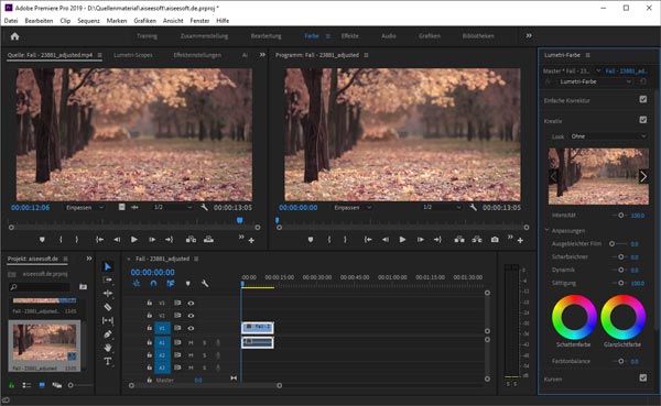 Video in Premiere Pro laden