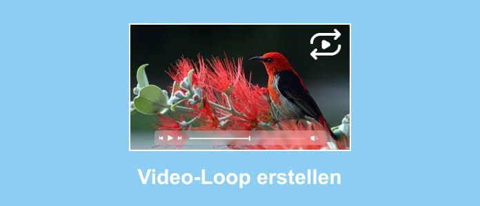 Video-Loop machen