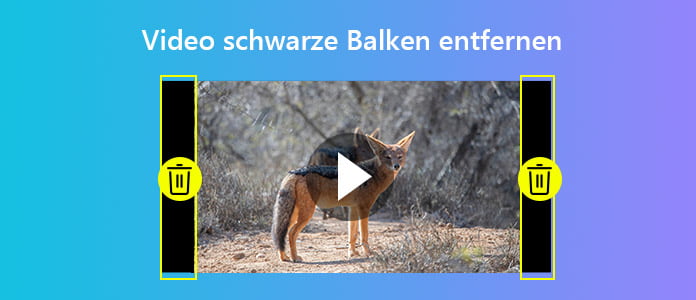 Video schwarze Balken entfernen