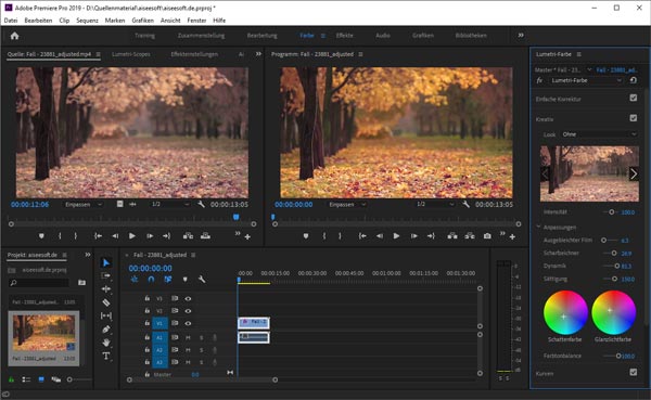 Videofarbe mit Premiere Pro ausgleichen