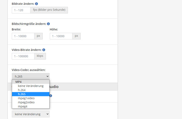 Video-Codec auswählen