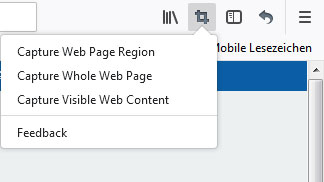 Screenshot unter Windows 10 erstellen mit Browser Add-Ons
