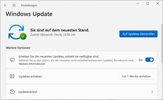 Windows-Update durchführen